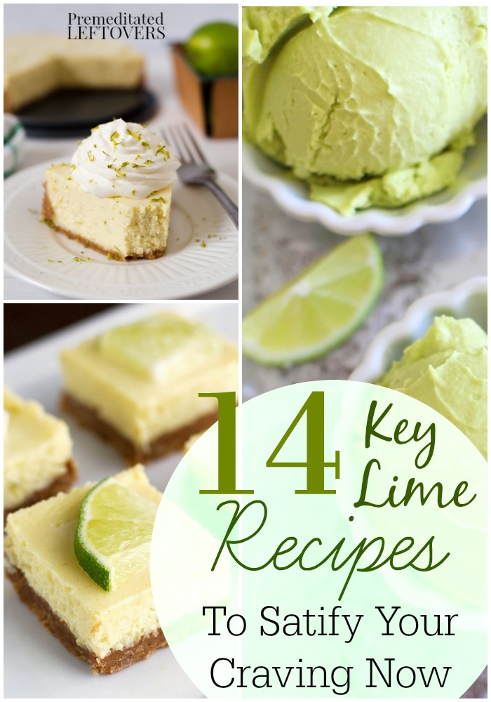 14 Key Lime Recipes- Enjoy the tangy flavor of Key limes with these 14 recipes. They include breakfast, lunch, dinner, and of course dessert! 