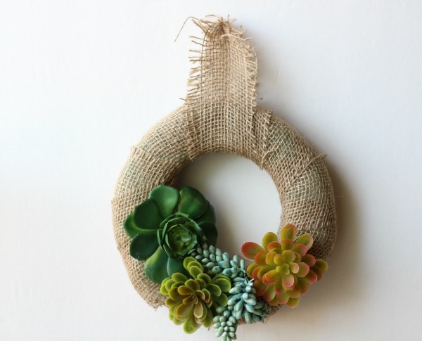 Frugal Dollar Tree Craft: Spring Succulent Wreath final