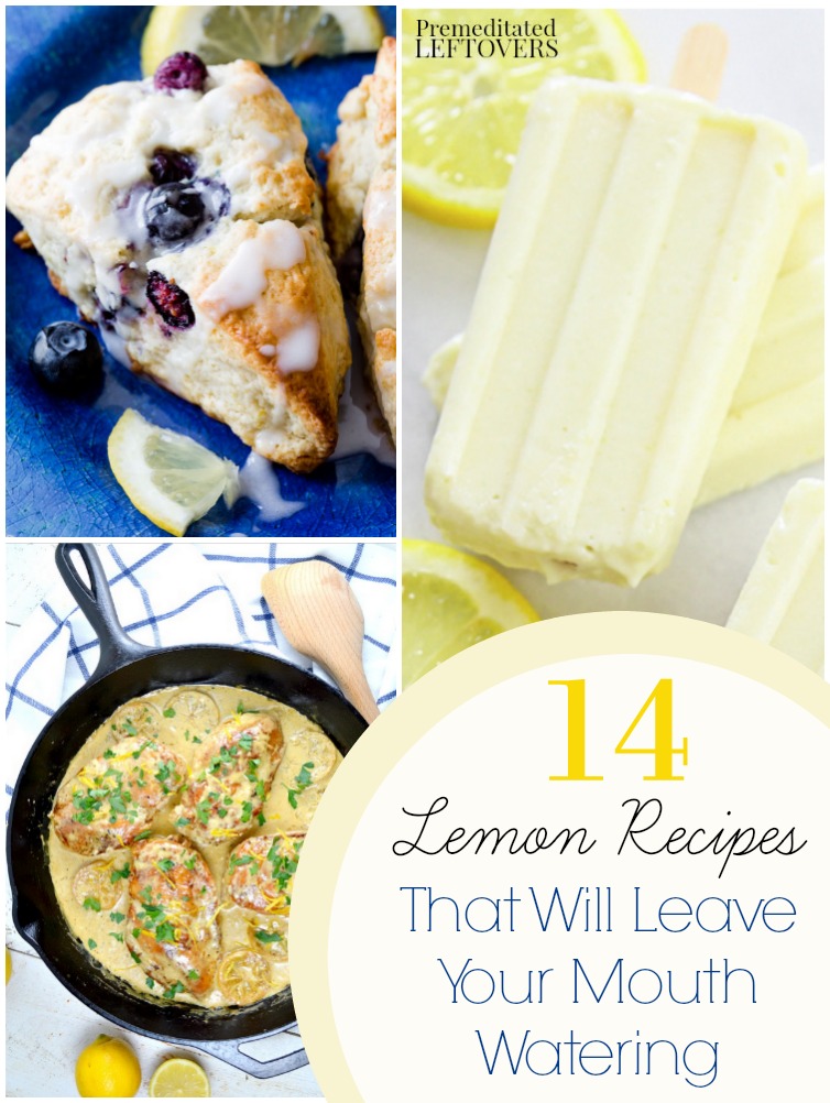 14 Fresh Lemon Recipes- Check out this list of recipes that use fresh lemons for soups, breads, dinner entrees, desserts, and more. 