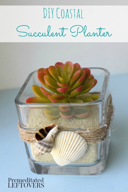 DIY Coastal Succulent Planter- Add a simple touch to any coastal or beach themed room with this homemade succulent planter. It's an easy and frugal project!