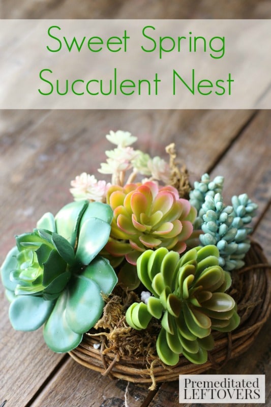 Sweet Spring Succulent Nest- Welcome spring with this sweet and simple faux succulent arrangement. You will love how easy and inexpensive it is to create. 
