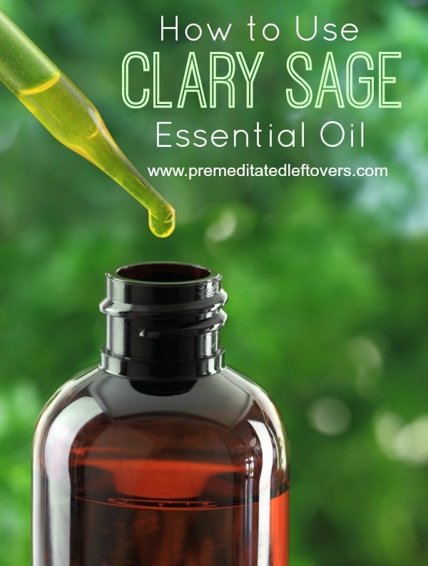 How to Use Clary Sage Essential Oil- Clary sage is a sweet, floral scented essential oil. Here are 5 ways it can be used to benefit your mind and body.