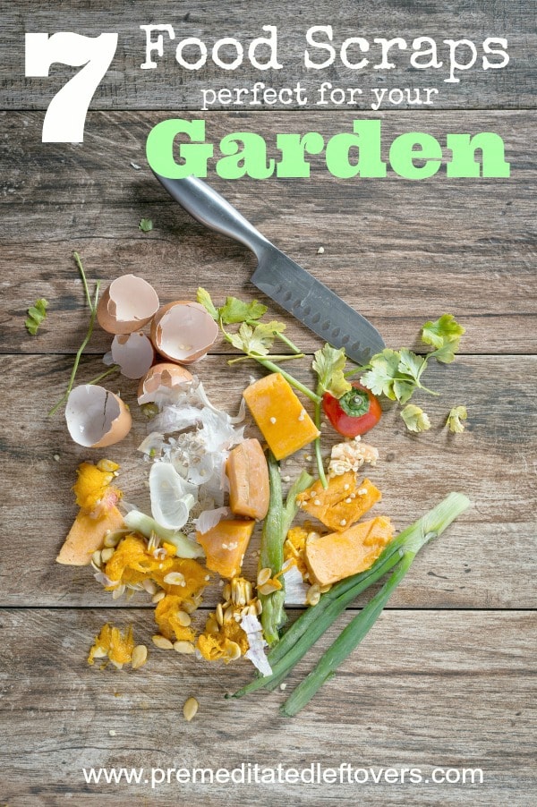 7 Food Scraps That Are Perfect for Your Garden- Don't throw these 7 food scraps away! They are a great way to give your garden a nutrient-filled boost. 