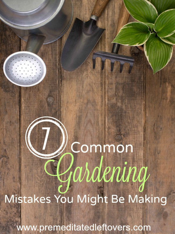 7 Common Gardening Mistakes You Might Be Making- Are you making any of these common gardening mistakes? Correct them this year and watch your plants thrive!
