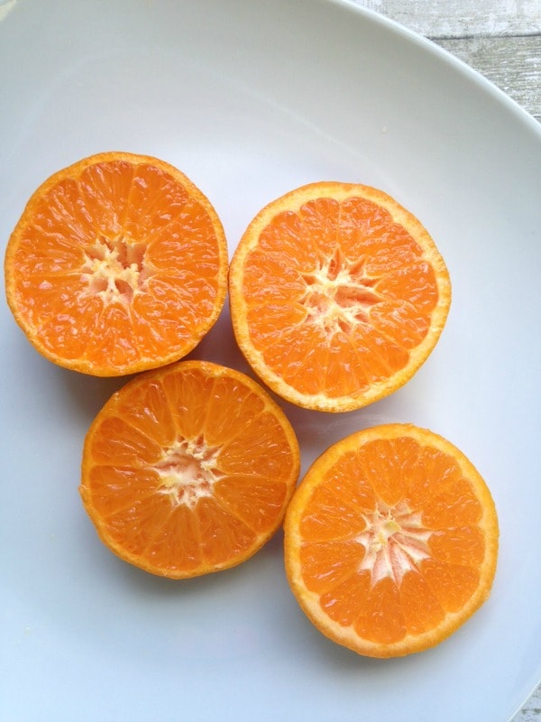 How to Make an Oriole Bird Feeder- slice oranges