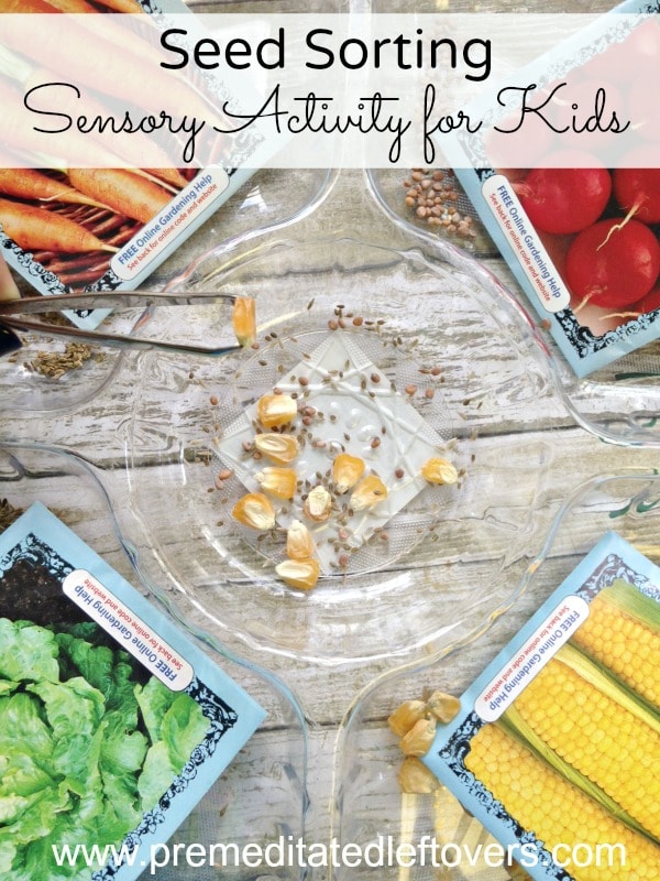 Seed Sorting Sensory Activity for Kids- Seeds are great for exploring sensory and fine motor skills. Put them to use in this fun sorting activity for kids.