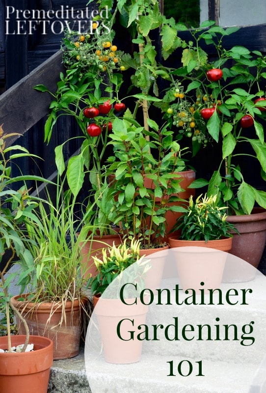 Maybe your yard does not offer enough room to plant everything you would like, or perhaps you are using containers to dress up your porch, patio, or deck. Either way, container gardening is a fun and an easy way to create beautiful and of course edible plants and flowers for yourself and your family.