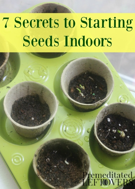 7 Secrets to Starting Seeds Indoors- Starting you garden plants from seeds indoors can save you time and money. Grow seedlings successfully with these tips. 