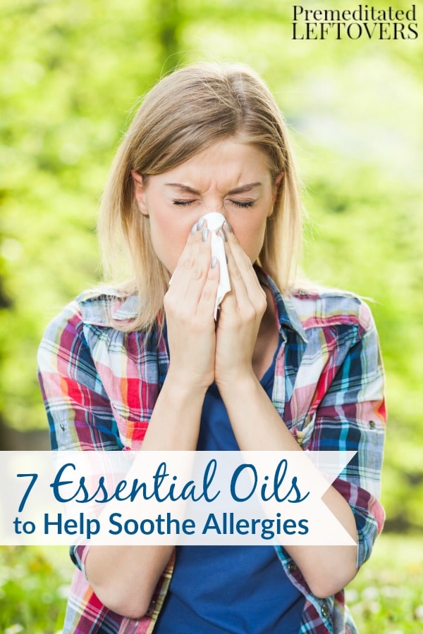 7 Essential Oils to Help Soothe Allergies- Do you suffer from allergies? These essential oils can relieve allergy symptoms and make them more manageable. 