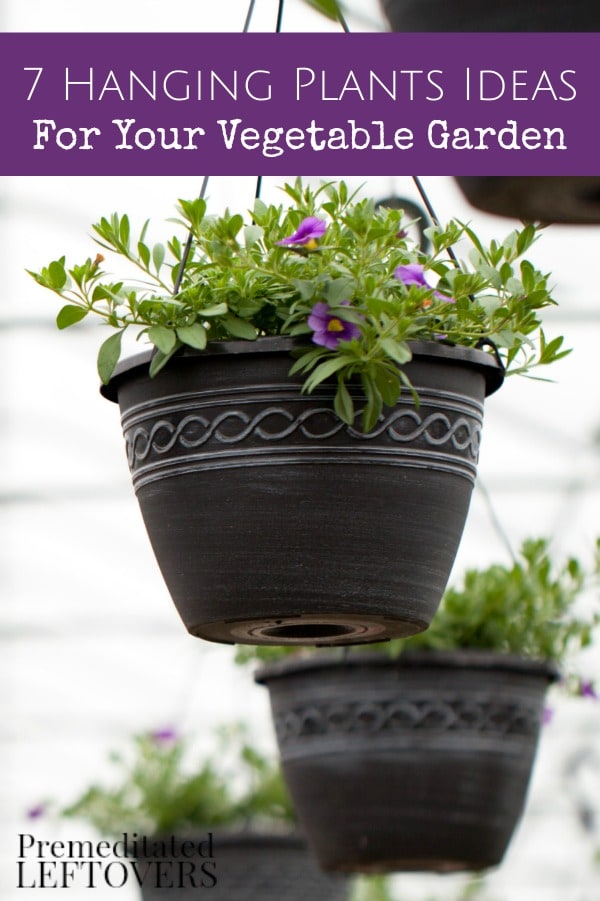 Hanging Plant Ideas for Your Vegetable Garden- These tips will show you how to utilize hanging baskets to grow vegetables. They are a great space saver!