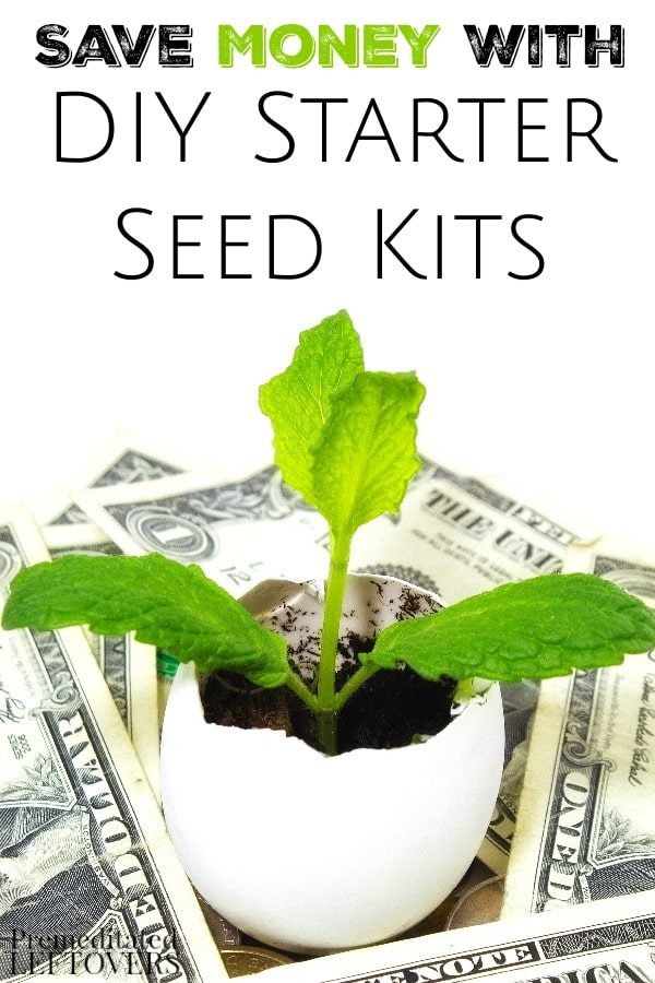 DIY Garden Seed Starter Kits- Starting plants from seeds is an ideal way to save money on your garden. These homemade seed starter kits are easy and frugal.