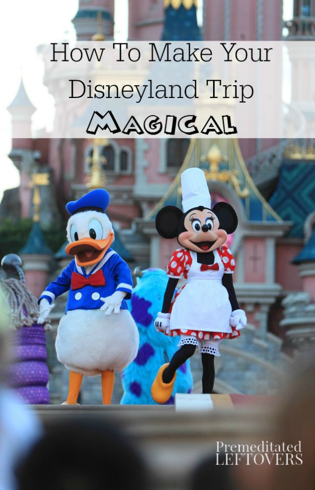 How to Make Your Disneyland Trip Magical- Are you planning a Disneyland trip? These useful tips will help you have the time of your life! 