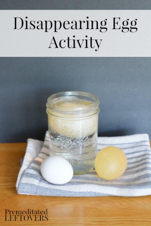 Disappearing Egg Activity for Kids- This egg experiment is a great letter "E" activity for preschoolers and fun science activity for older kids!