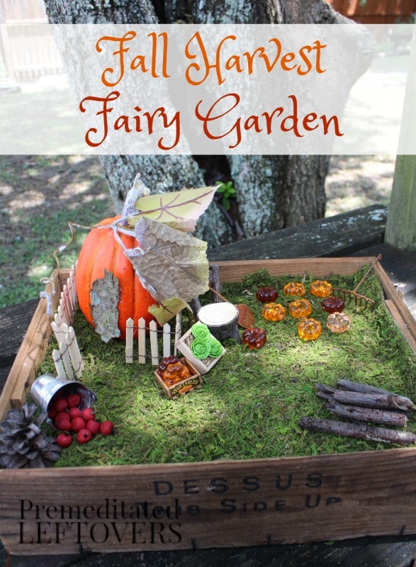 Fall Harvest Fairy Garden- Celebrate autumn with this harvest themed fairy garden. It's such a cute way to decorate your home or outdoors this season.