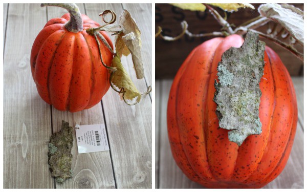 fall harvest fairy garden- make fairy house out of pumpkin and bark door