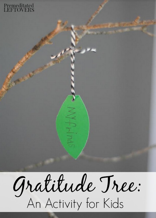 Help your kids reflect on what they are thankful for with this Gratitude Tree Activity. It's a great craft for the upcoming Thanksgiving holiday.