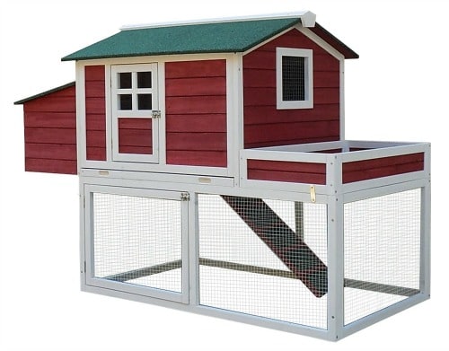 What You Need to Raise Chickens- Chicken Coop
