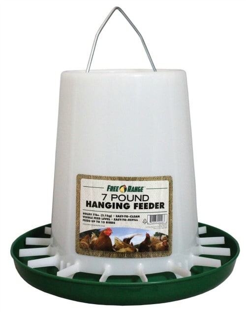 What You Need to Raise Chickens- Chicken Feeder
