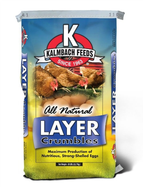 What You Need to Raise Chickens- Chicken Layer Feed