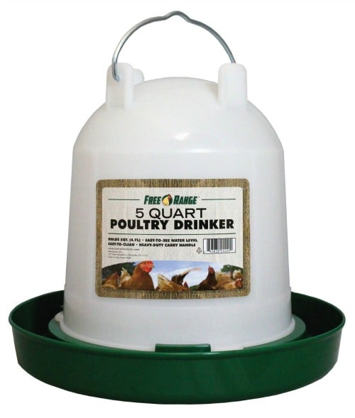 What You Need to Raise Chickens- Chicken Water Feeder
