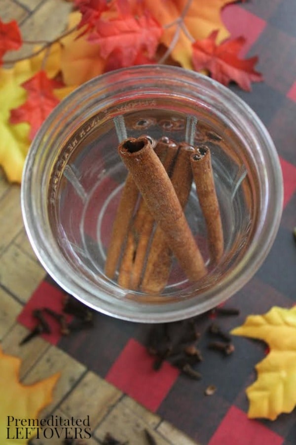 Stove Top Potpourri- add cinnamon sticks