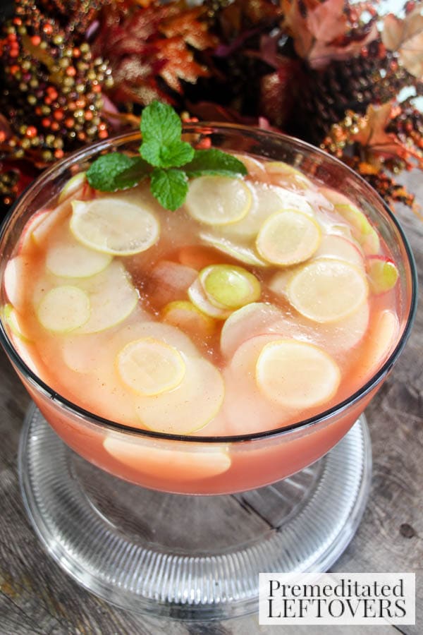 Spruce up your holiday punch with this Apple, Pear, and Lemon Ice Ring. This easy recipe adds flavor and looks lovely in your punch bowl as well. 
