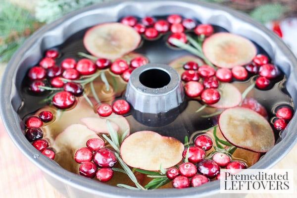 Cranberry and Sugar Plum Ice Ring- add ingredients to bundt cake pan