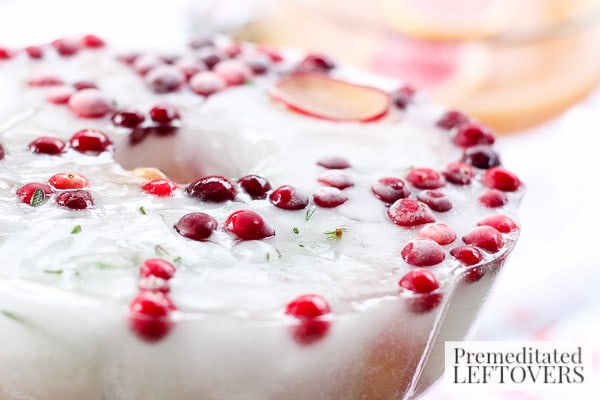 Cranberry and Sugar Plum Ice Ring- frozen ice ring