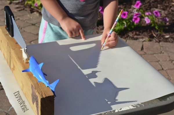 Letter S Activity: Sunshine Shadows Tracing- trace shadows onto paper 