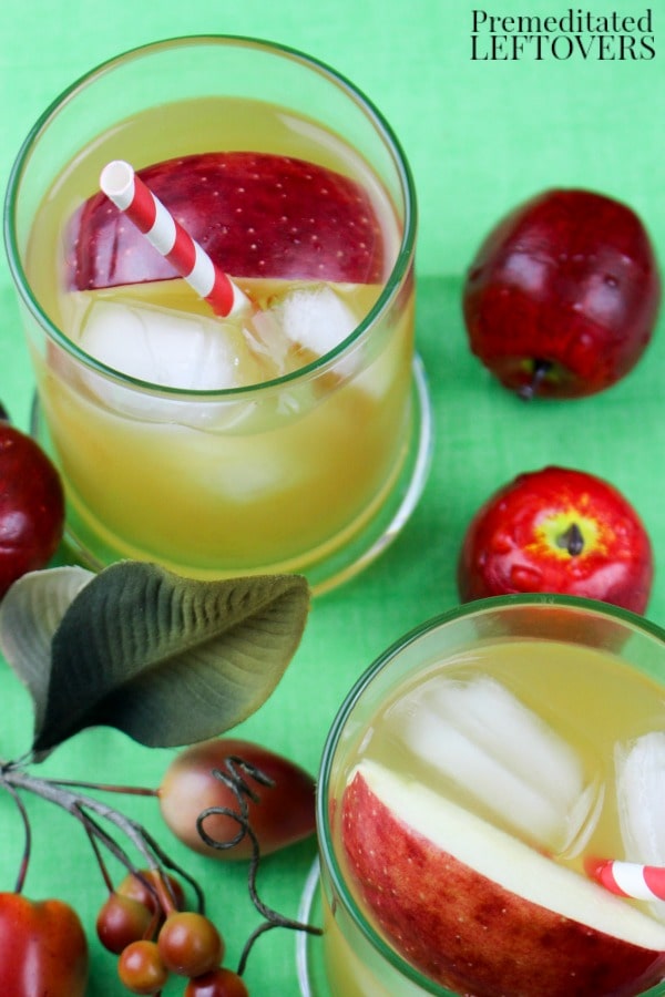 This Apple Cider Bourbon Cocktail is an easy recipe to mix up with just three ingredients. Add a bright red apple slice for the perfect garnish!