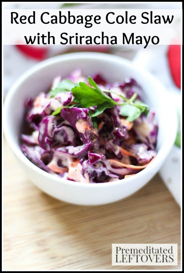 Barbecue and picnic season is just around the corner! Enjoy this Red Cabbage Cole Slaw with Sriracha Mayo recipe as a side dish or piled on top of burgers.