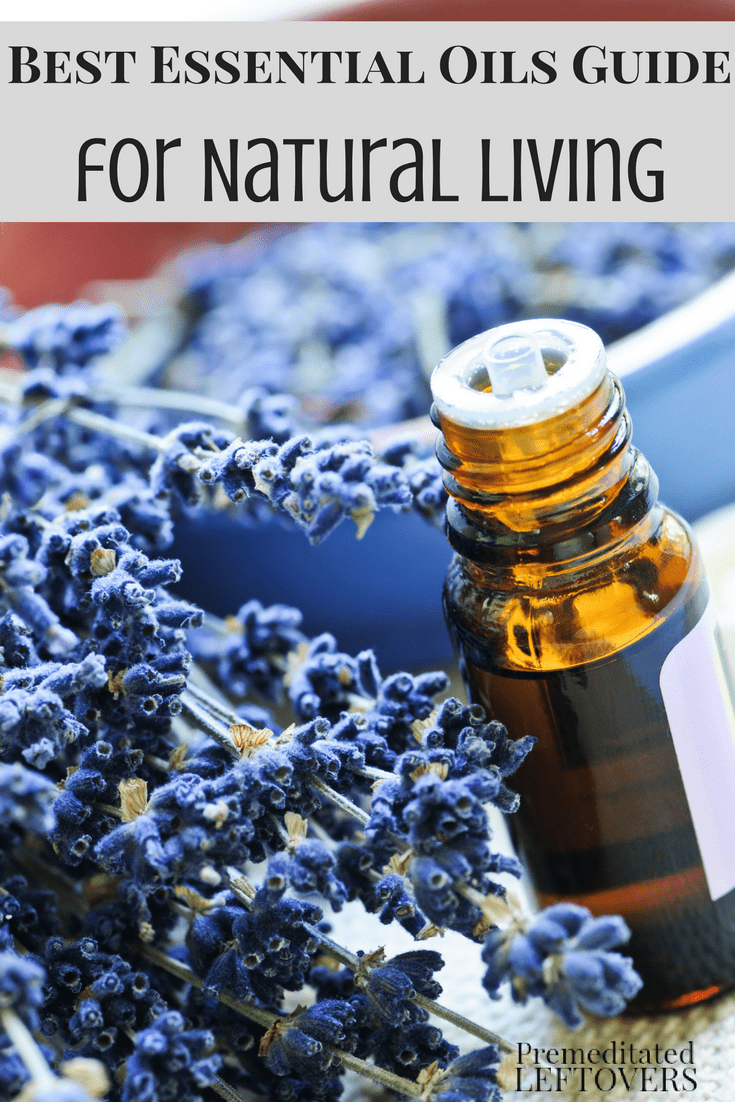The Best Essential Oils Guide is what you need to safely use essential oils and herbs with your family and in your home! Check out our tips for best essential oil safe practices!