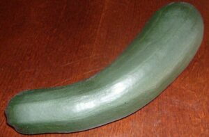 A Zucchini