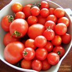 A bowl of fresh tomatoes ready to peel and be added to Garden Fresh Spaghetti Sauce