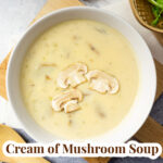 cream of mushroom soup recipe in a white bowl