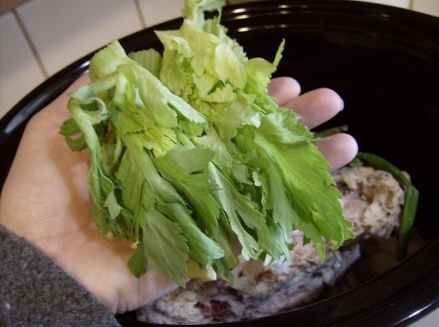 Add celery tops to slow cooker