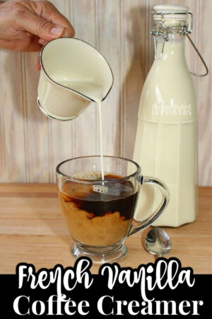 easy 3 ingredient french vanilla coffee creamer recipe