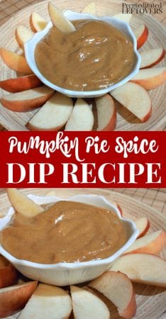 Pumpkin pie spice dip recipe - a healthier version of pumpkin pie dip using yogurt for a low-calorie, low fat appetizer
