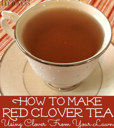 Quick and Easy Red Clover Tea Recipe - How to make red clover tea using fresh clover blossoms from your lawn.
