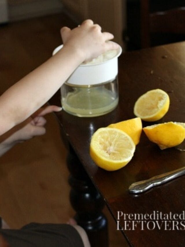 How to Make Fresh Lemonade Story