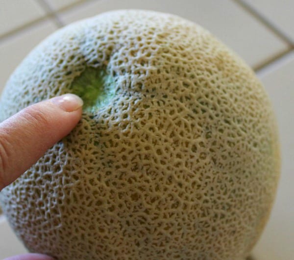 How to pick a cantaloupe that will taste good.