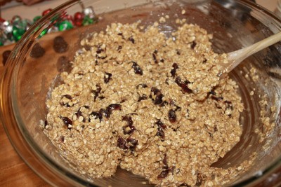 Mrs. Claus' Favorite Oatmeal Cookies Recipe 