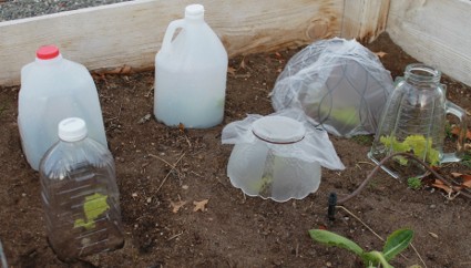 How To Make A Frugal Cloche