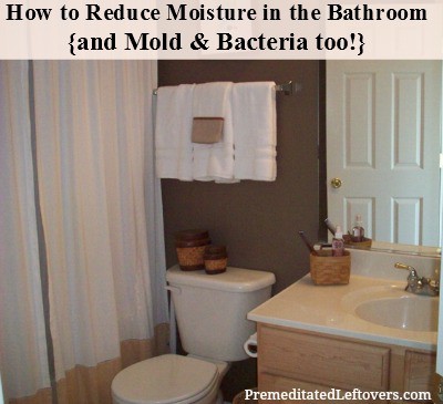 How-to-Reduce-Moisture-in-the-Bathroom-and-reduce-mold-and-bacteria-too.jpg