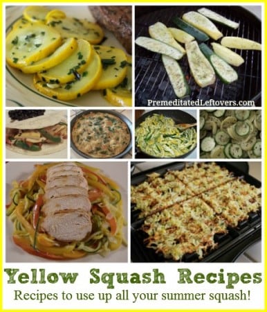 20 Yellow Squash Recipes and Ways to Use Summer Squash