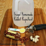 how to make organic rabbit repellent at home
