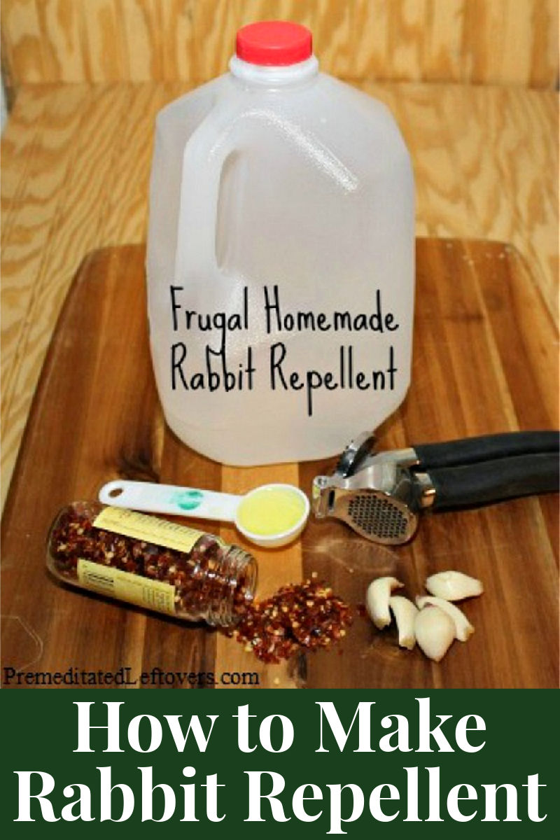 how to make organic rabbit repellent household items including garlic, crushed red peppers, and dish soap.