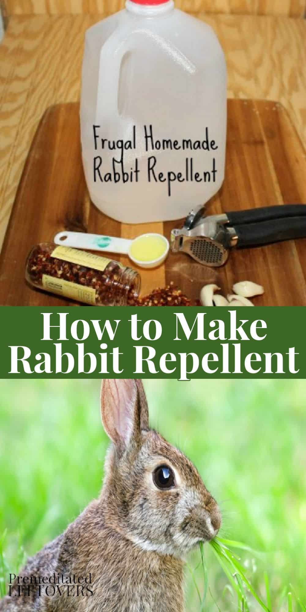 How to Make Rabbit Repellent - Easy DIY Rabbit Deterrent Recipe