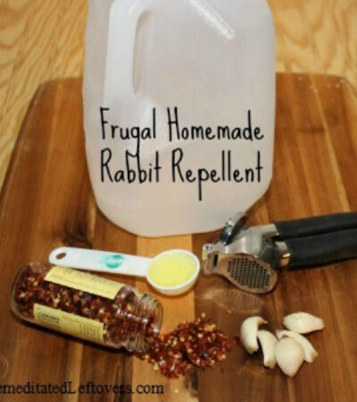 ingredients used to make homemade rabbit repellent and tips for rabbit deterrent