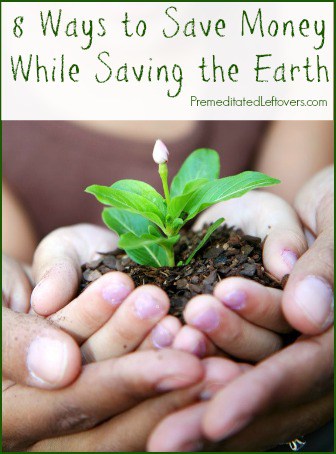 8 Eco-Friendly Tips That Will Save You Money